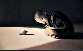 Không có gì để vội vã